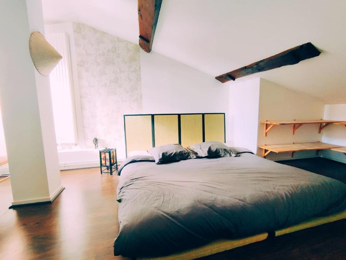 Superbe Appartement Duplex Centre Ville De Mâcon Exteriér fotografie